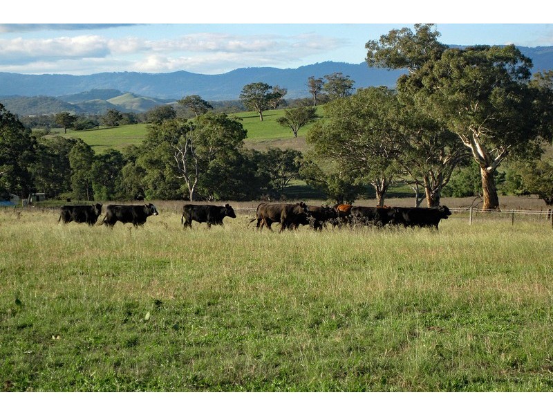 Cooleen South, Waverley Road, Scone NSW 2337