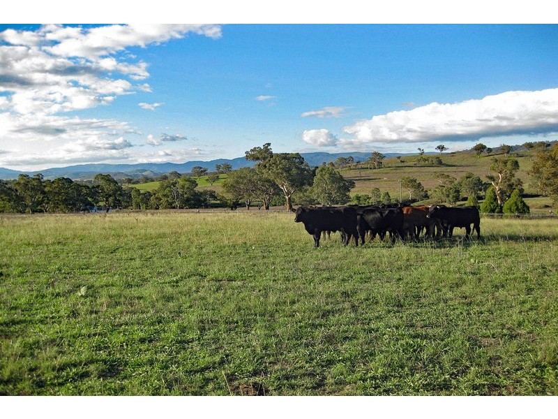 Cooleen South, Waverley Road, Scone NSW 2337