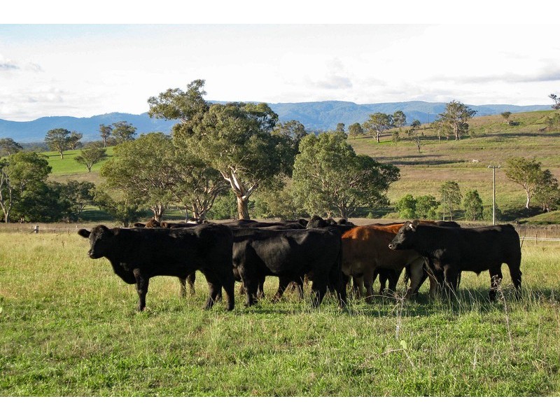 Cooleen South, Waverley Road, Scone NSW 2337