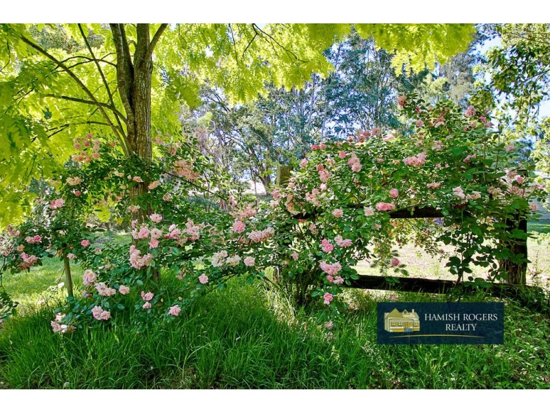 119 Bathurst Street, Pitt Town NSW 2756