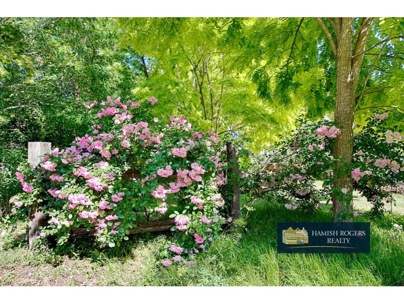 119 Bathurst Street, Pitt Town NSW 2756