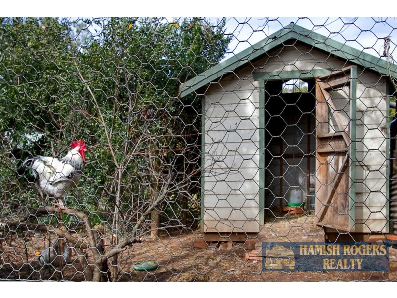 119 Bathurst Street, Pitt Town NSW 2756