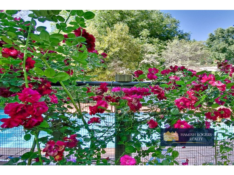 119 Bathurst Street, Pitt Town NSW 2756