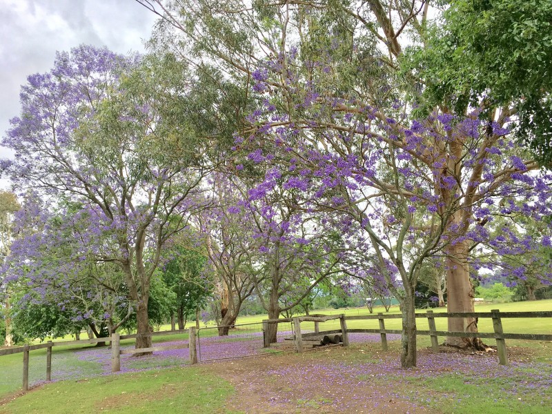 254 Yarramundi Lane, Agnes Banks NSW 2753