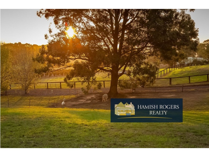 55 Schofield Road, Pitt Town NSW 2756
