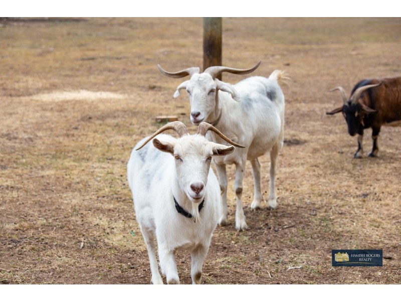 160 Whitmore Road, Maraylya NSW 2765