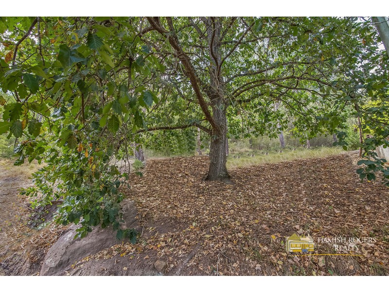 70 Wollombi Road, St Albans NSW 2775