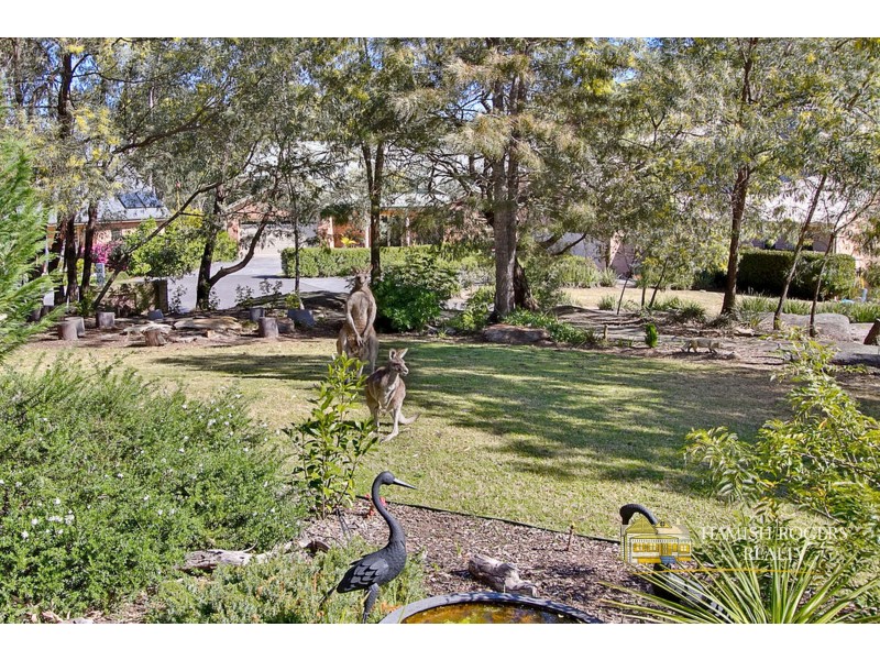 4 Sugar Glider Drive, Cattai NSW 2756