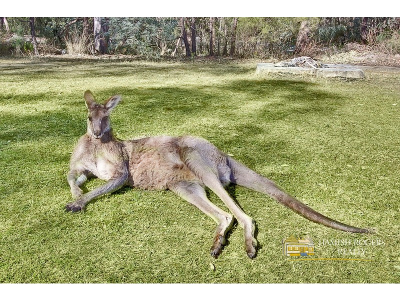 4 Sugar Glider Drive, Cattai NSW 2756