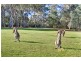 4 Sugar Glider Drive, Cattai NSW 2756