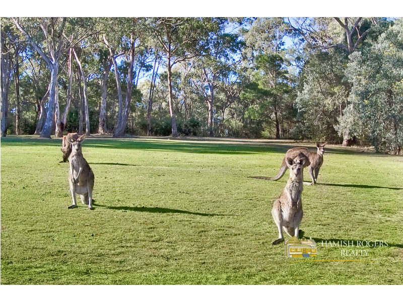 4 Sugar Glider Drive, Cattai NSW 2756