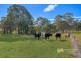 257 Mahons Creek Road, Yarramundi NSW 2753