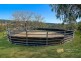 42 Cabbage Tree Road, Grose Vale NSW 2753