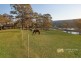 59 Browns Road, Kurrajong NSW 2758