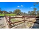 81 Moles Road, Wilberforce NSW 2756