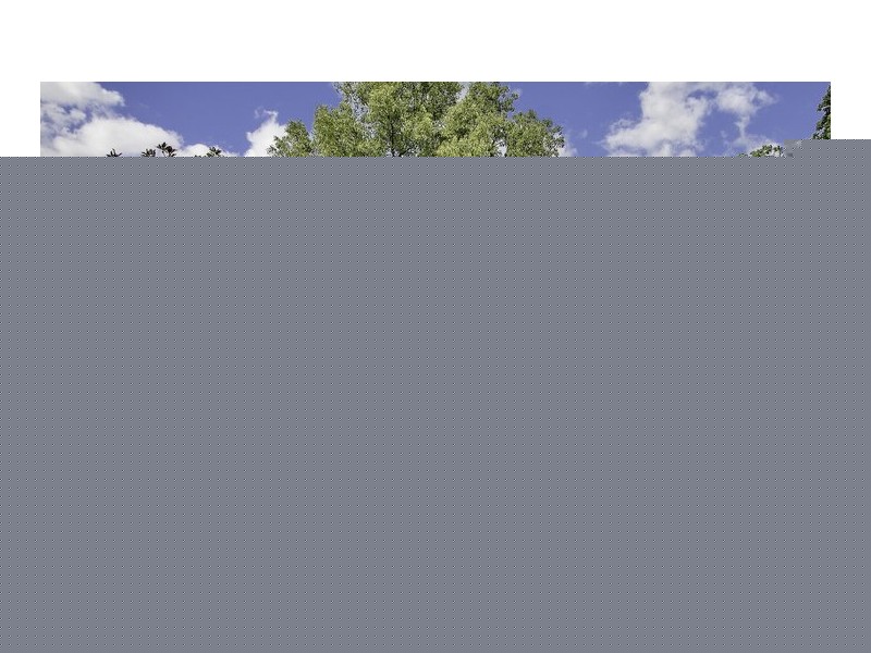 75 Smiths Lane, Freemans Reach NSW 2756