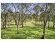 54 Nelson Road, Cattai NSW 2756