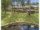 11 Tallow Wood Close, Wilberforce NSW 2756