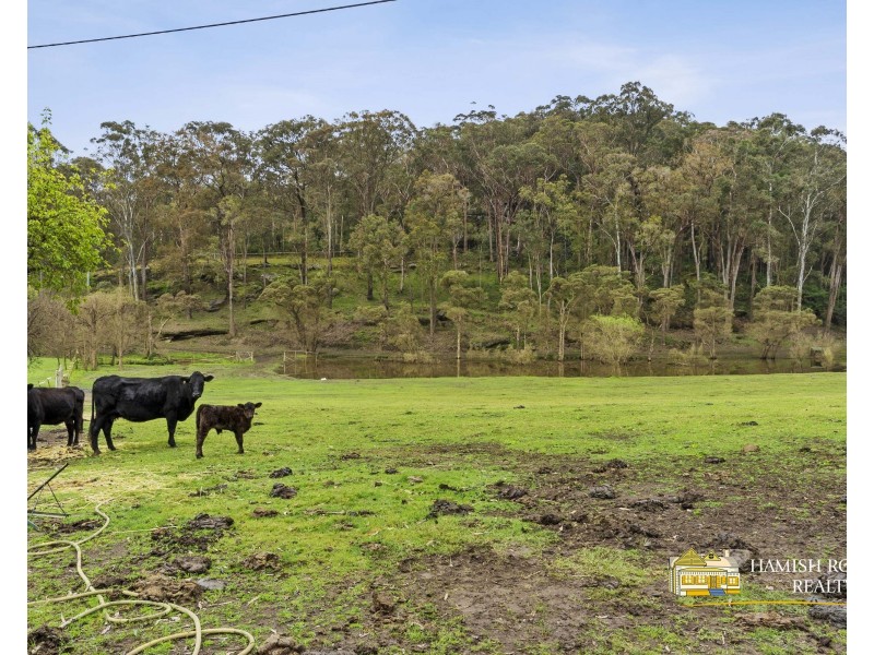 1 Newman Road, Glenorie NSW 2157