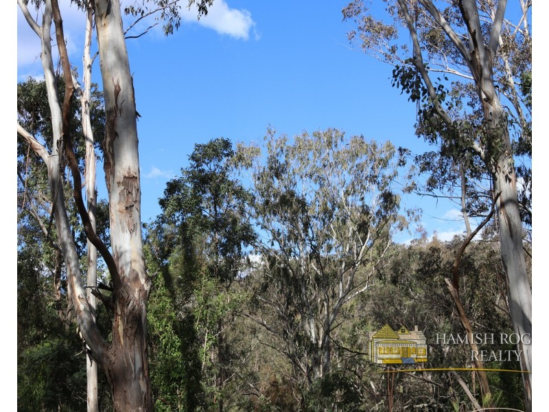 773 Putty Valley Road, Putty NSW 2330