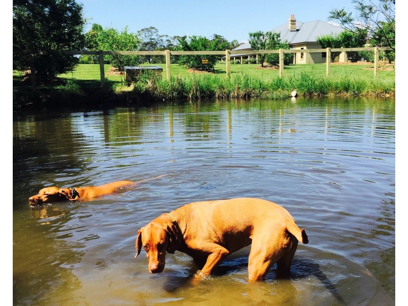 12 Gallaghers Road, South Maroota NSW 2756