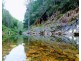 211 Saggers Creek Road, Stroud NSW 2425