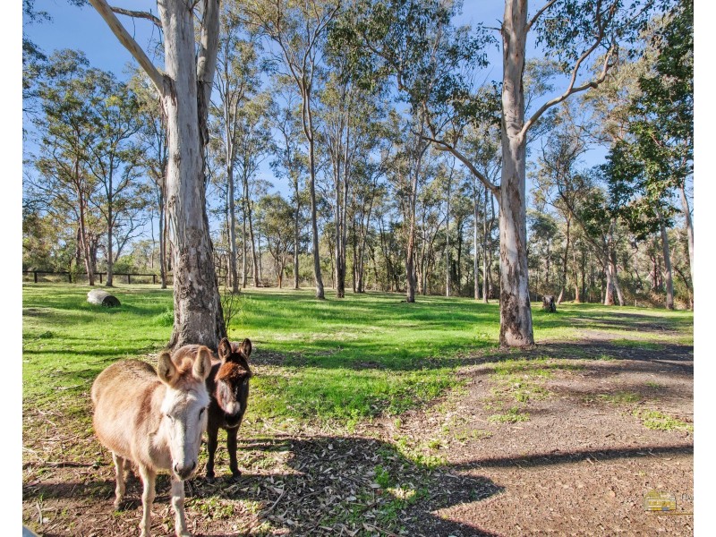 108 Mitchell Park Road, Cattai NSW 2756