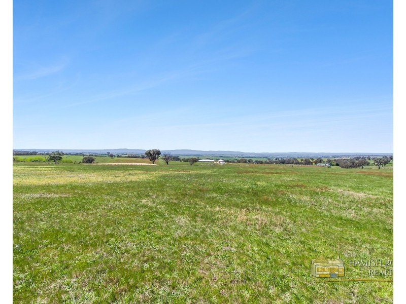 399 Mount Rankin Road, Mount Rankin NSW 2795
