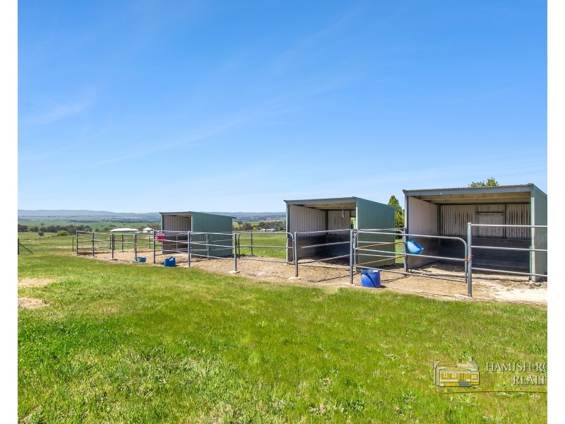 399 Mount Rankin Road, Mount Rankin NSW 2795