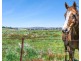 399 Mount Rankin Road, Mount Rankin NSW 2795