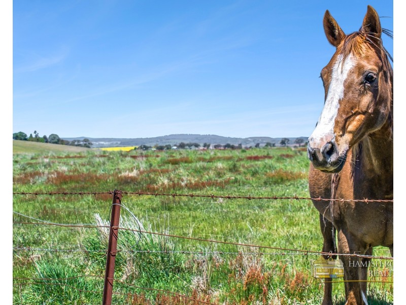 399 Mount Rankin Road, Mount Rankin NSW 2795