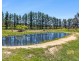 399 Mount Rankin Road, Mount Rankin NSW 2795