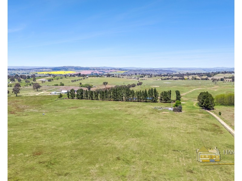 399 Mount Rankin Road, Mount Rankin NSW 2795