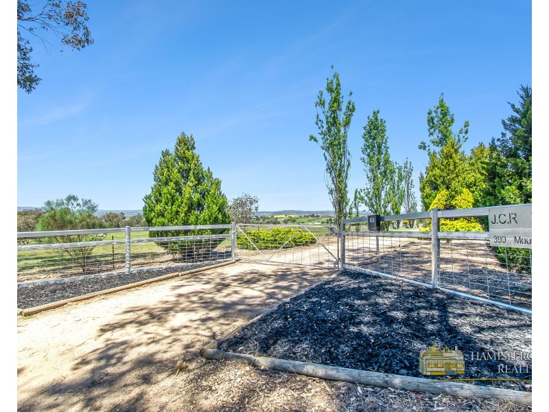 399 Mount Rankin Road, Mount Rankin NSW 2795