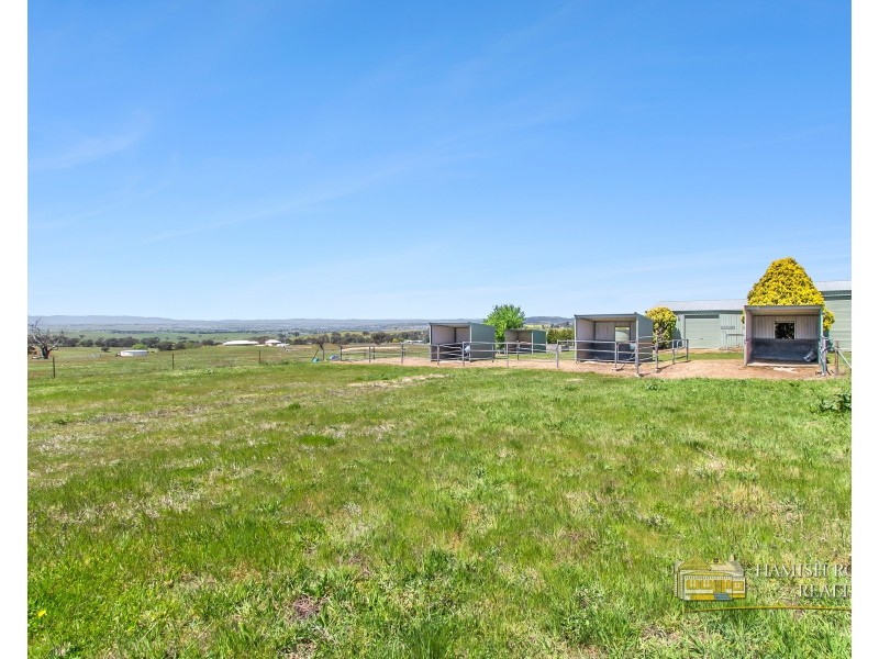 399 Mount Rankin Road, Mount Rankin NSW 2795