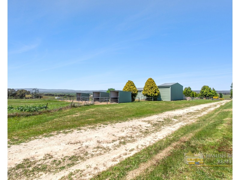 399 Mount Rankin Road, Mount Rankin NSW 2795
