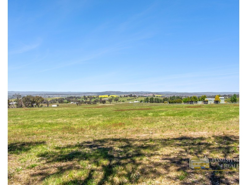 399 Mount Rankin Road, Mount Rankin NSW 2795