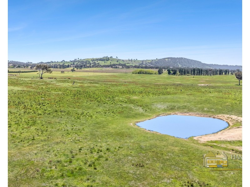 399 Mount Rankin Road, Mount Rankin NSW 2795