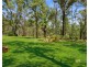 416 Cattai Road, Cattai NSW 2756