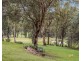 1 Corella Place, Cattai NSW 2756