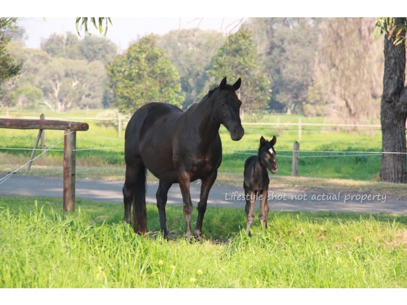80 WHEELBARROW RIDGE ROAD, Colo Heights NSW 2756
