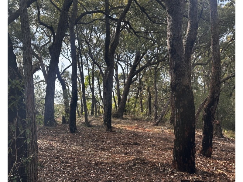 277 Galston Road, Galston NSW 2159