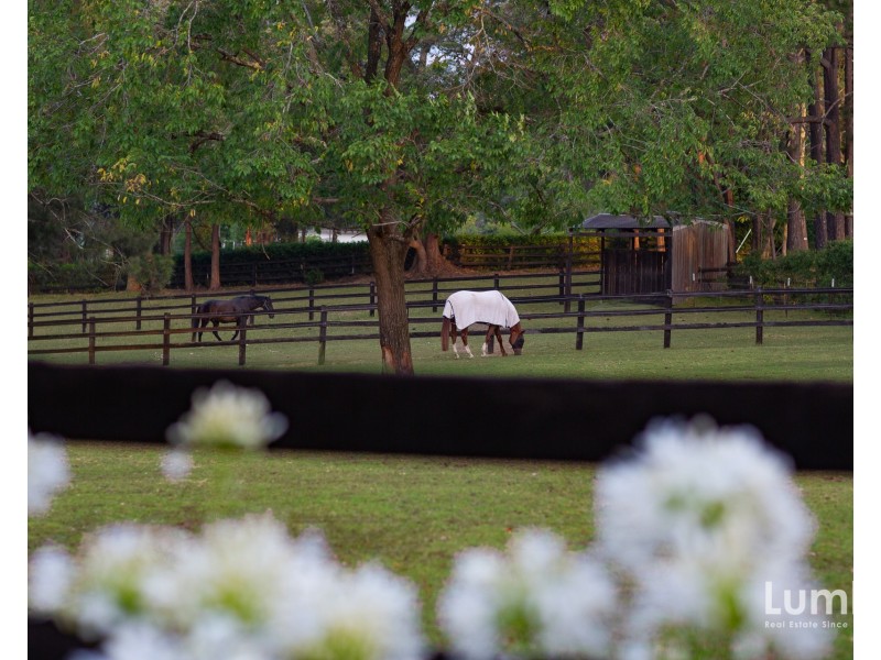 17 Smalls Road, Arcadia NSW 2159
