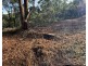 31 Mansfield Road, Galston NSW 2159