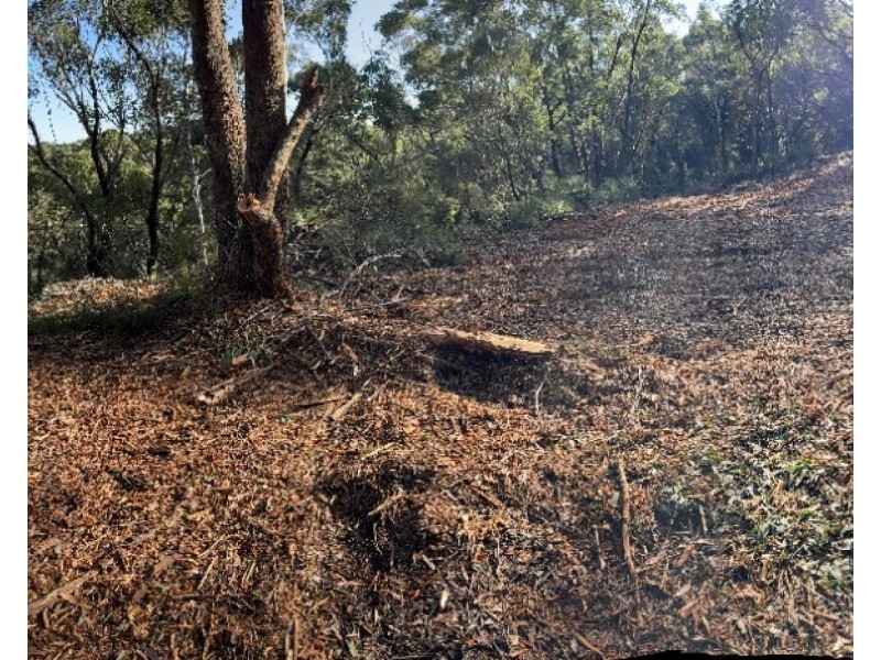 31 Mansfield Road, Galston NSW 2159
