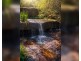 31 Mansfield Road, Galston NSW 2159