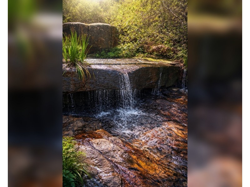 31 Mansfield Road, Galston NSW 2159