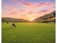 769 Singleton Road, Laughtondale NSW 2775