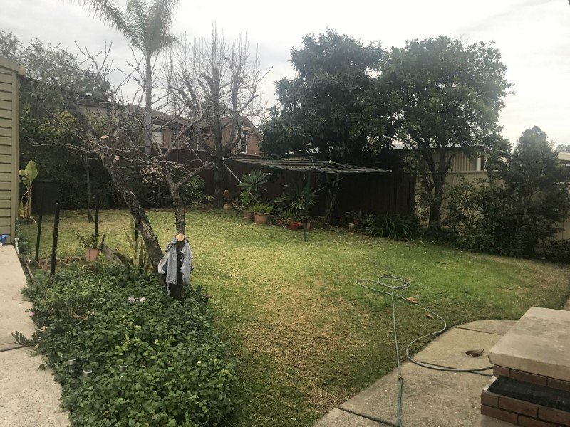 65 Yarramundi Drive, Dean Park NSW 2761