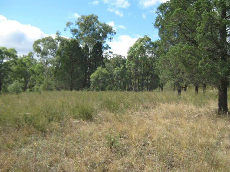 Lot 4 Spicers Creek Road, Elong Elong NSW 2831